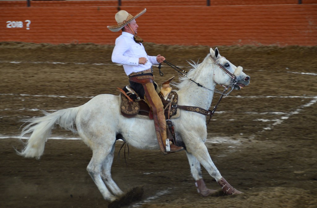 figure du charro