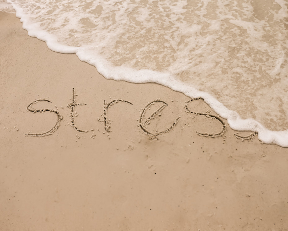 CBD et stress