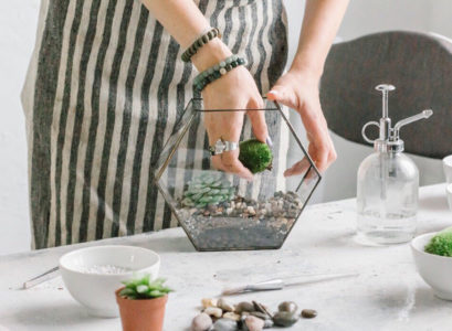 cadeau terrarium