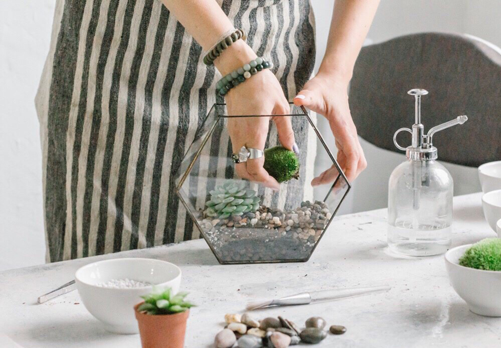 cadeau terrarium