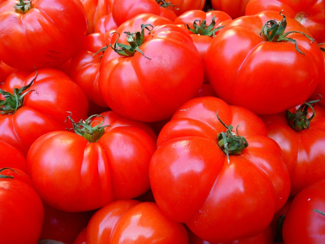 condition tomate