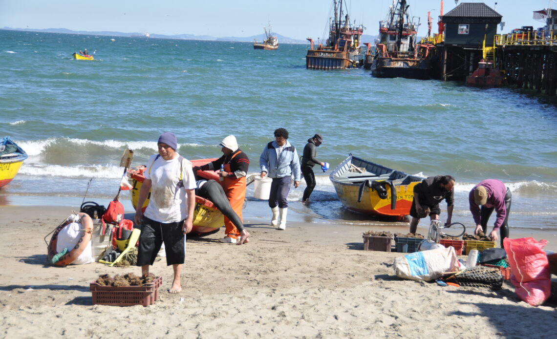 pêcheurs artisans