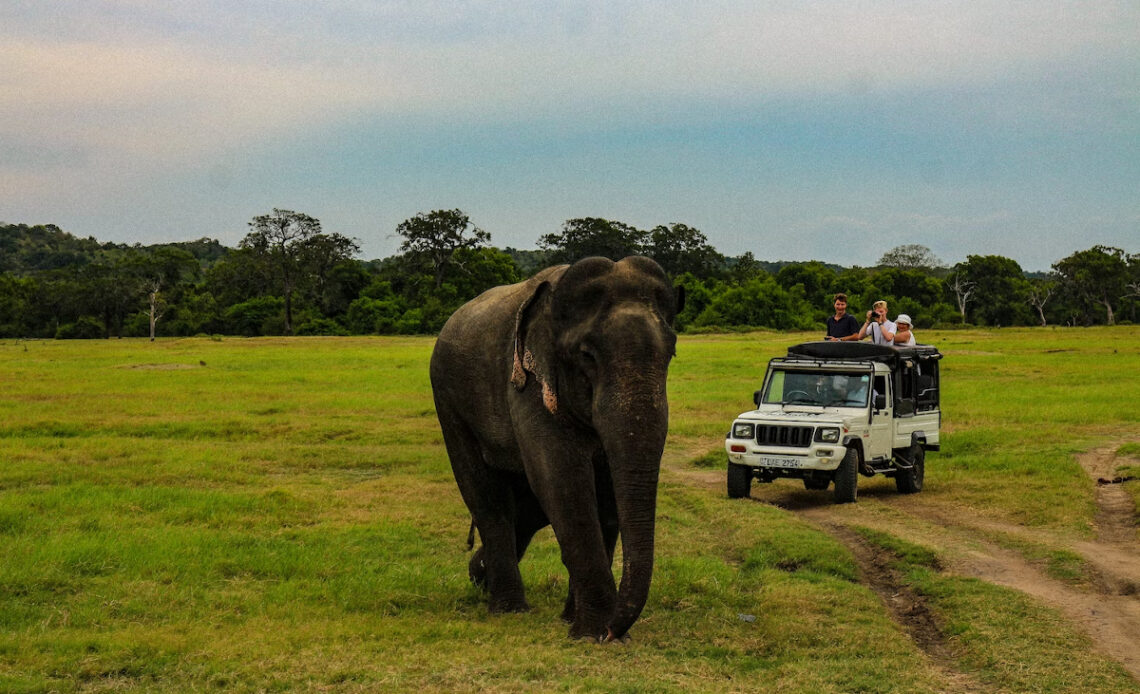 famille au Sri Lanka