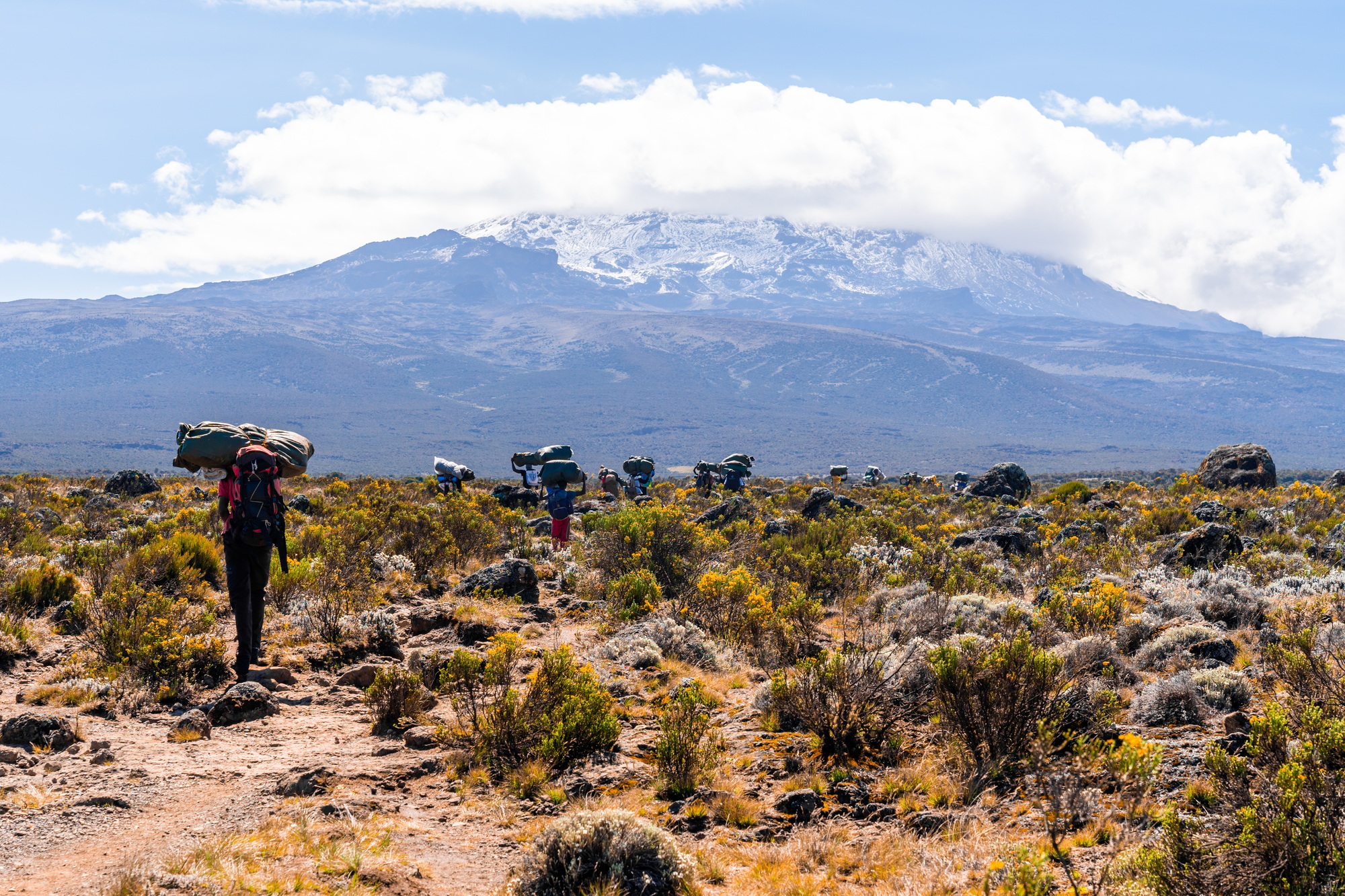 guides Kilimandjaro