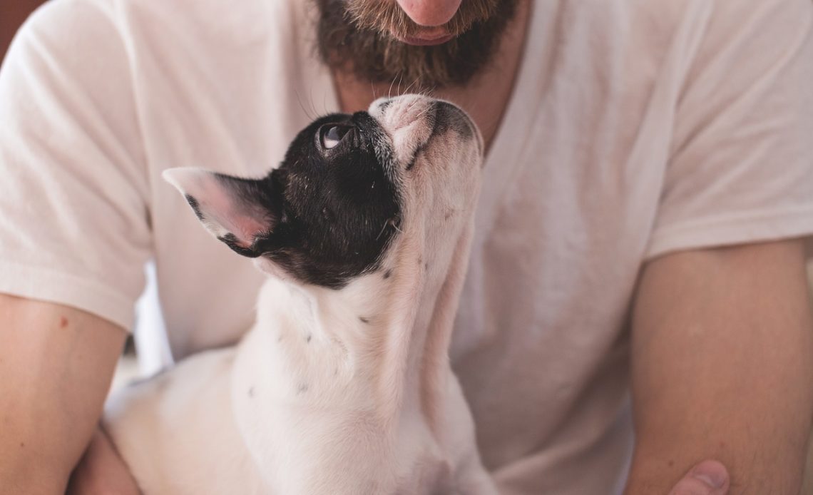 homme avec chien