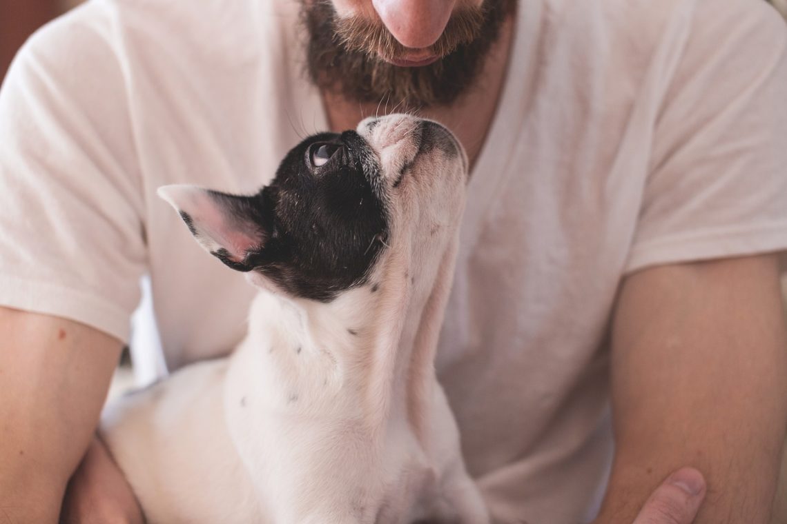 homme avec chien
