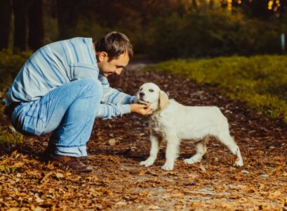 materiel necessaire chiot