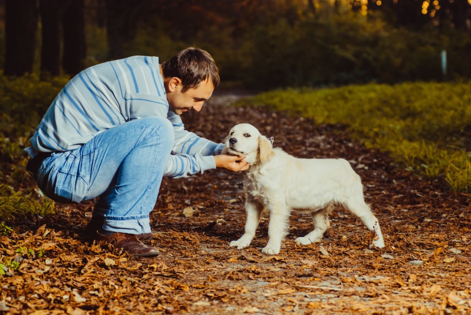 materiel necessaire chiot