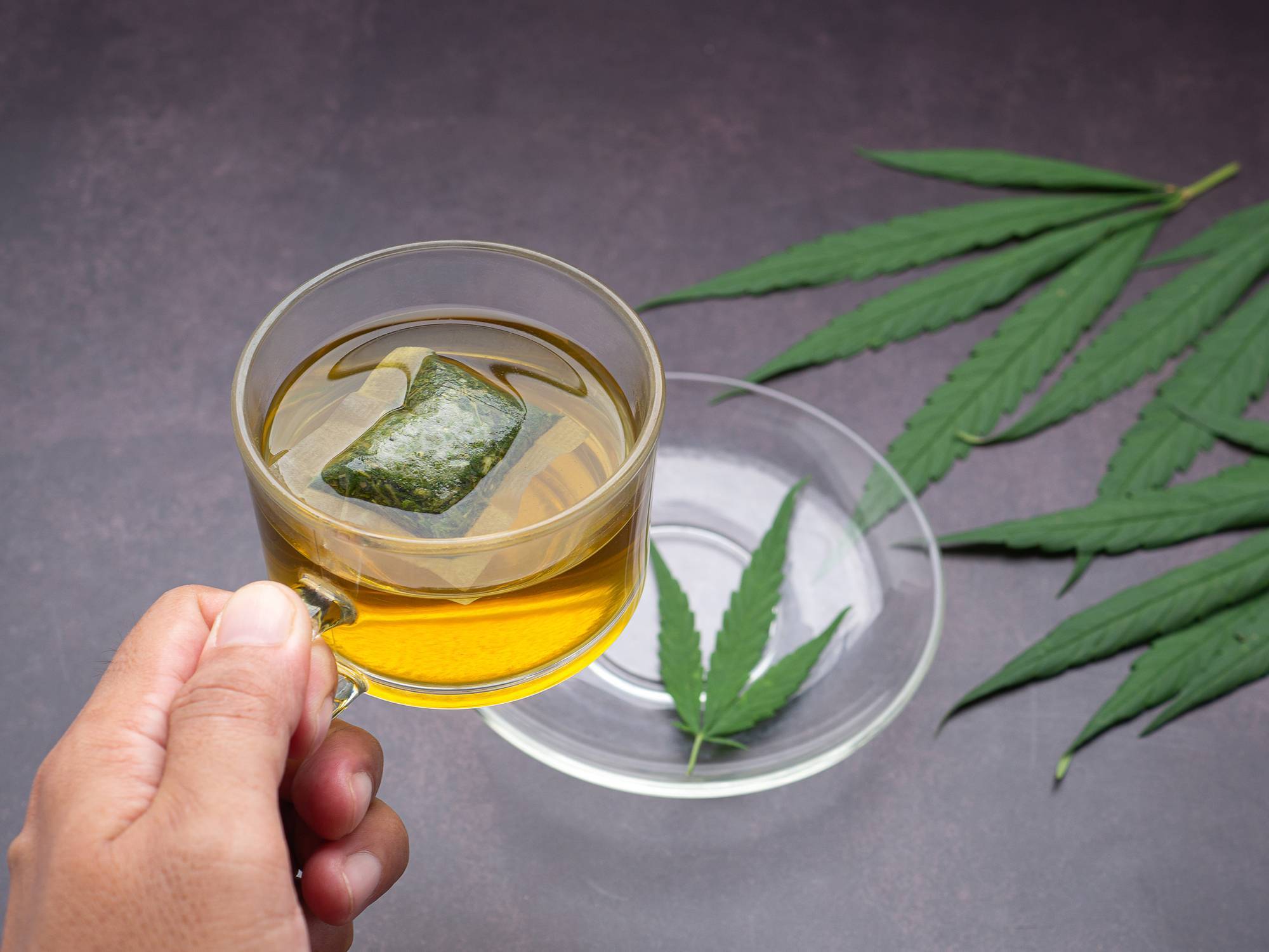 Tisane CBD cannabidiol