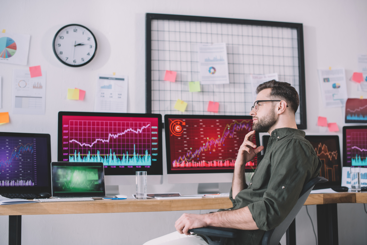 programme data analyst