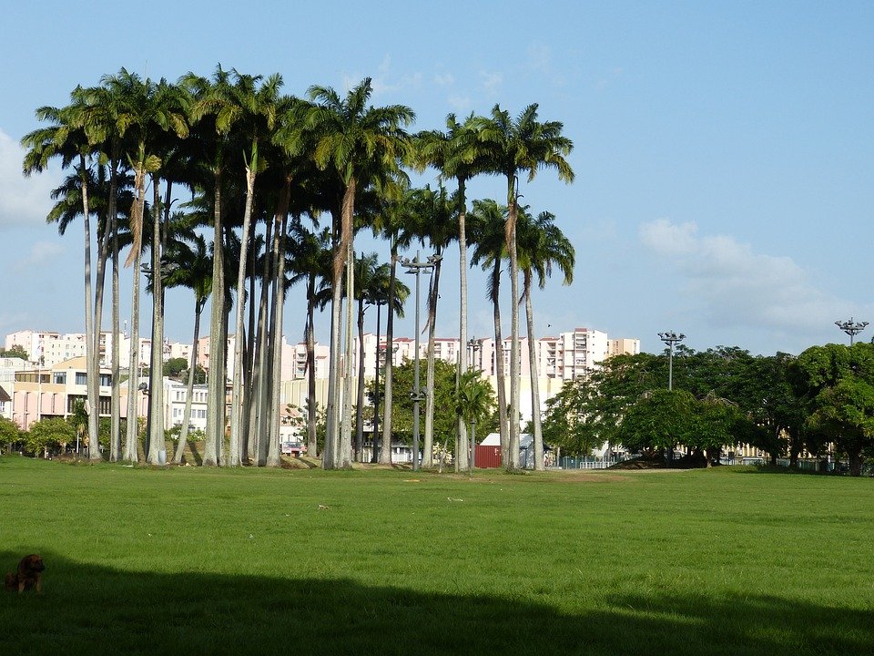 séjour martinique