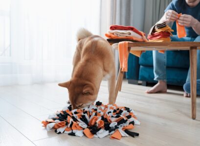 tapis de fouille chien