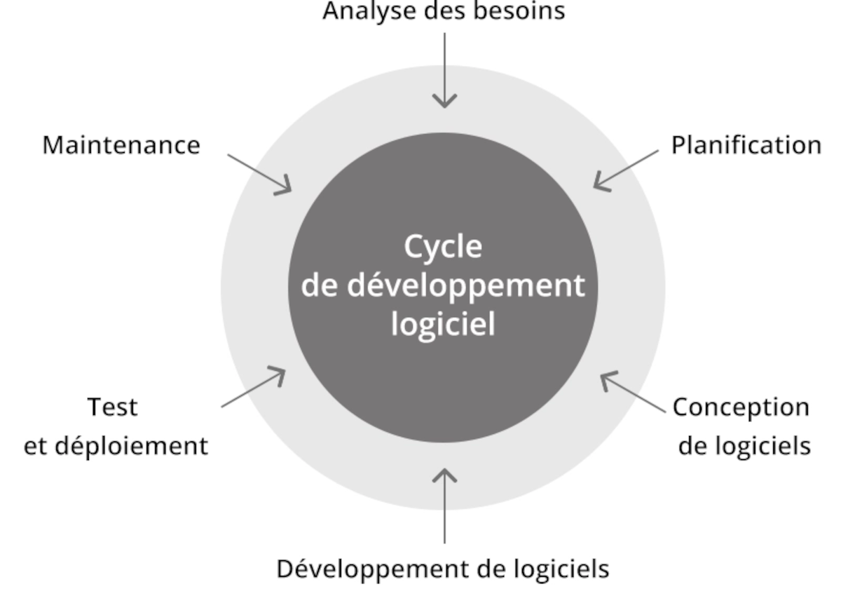 vie logiciel