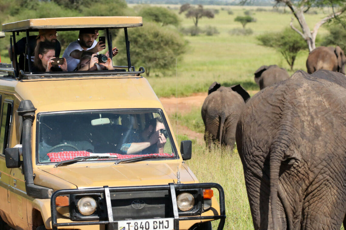voyage afrique