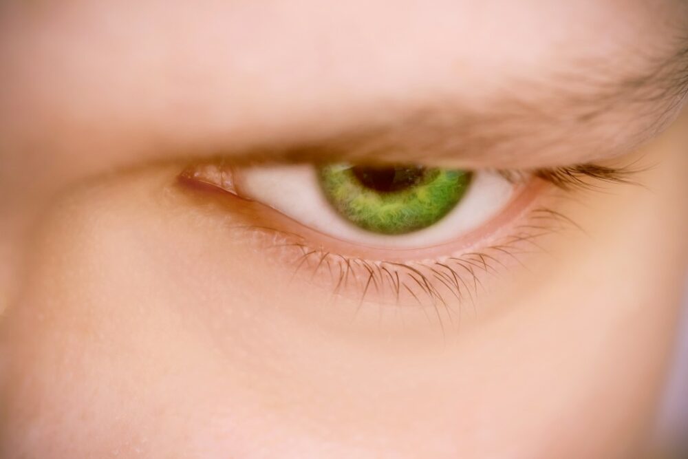 yeux vert